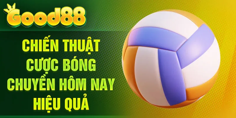Chiến thuật cược bóng chuyền hôm nay hiệu quả